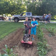 Boy Scout Troop 326 Grows and Gleans
